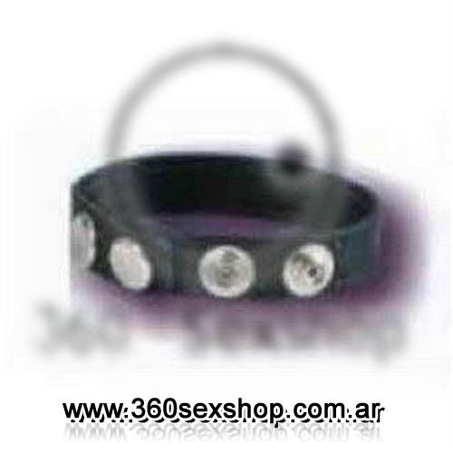 Anillo peneano mantensor